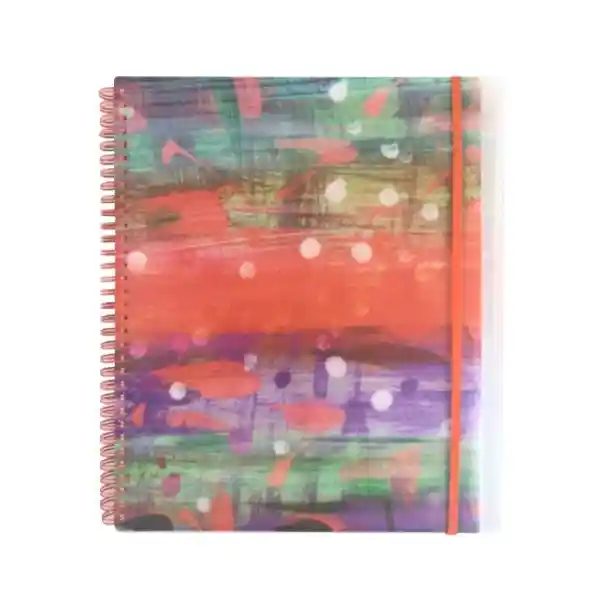 Organizador 12 Bolsillos