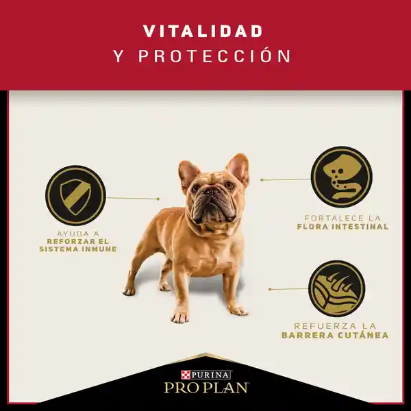 Pro Plan Alimento para Perros Adultos de Razas Pequeñas
