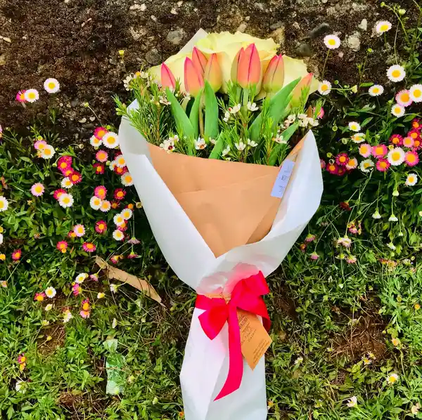 Tulipanes y Rosas