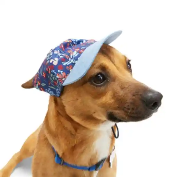 Youly Gorro de Mezclilla Con Estampado Para Perro X-Chica/Chica