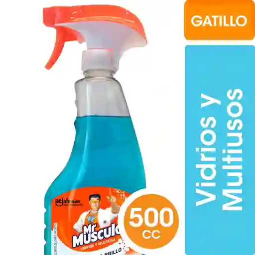 Limpia Vidrios Multiuso Mr. Músculo Gatillo 500 cc