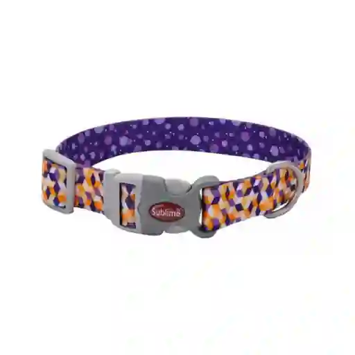 Hg Coastal Collar Para Mascota Sublime Purple M