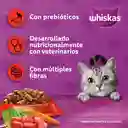 Whiskas Alimento Para Gatos Sabor Carne
