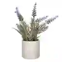Maceta Con Lavanda 15 x 30 cm Casaideas