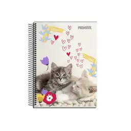 Proarte Cuaderno Libesa 150 Hojas Surtido