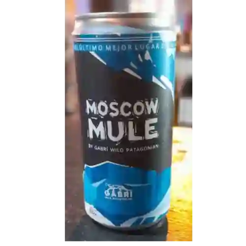 Moscow Mule Gabri