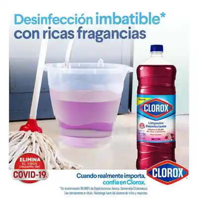 Clorox Limpiador Desinfectante
