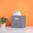 Set Organizadores Miniso