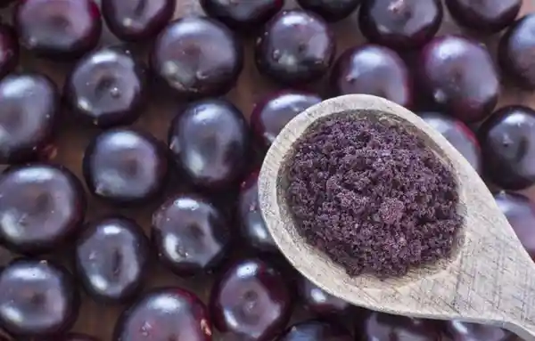 Acai Berry