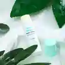 Miniso Balsamo de Labios Tea Mint - Soft