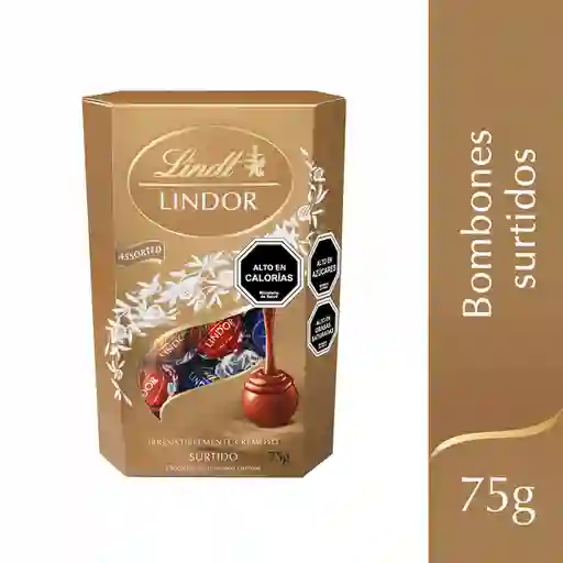 Lindt Bombón Chocolate Surtido