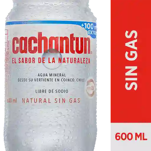 2 x Agua Mineral Cachantun S/Gas Pet 600 cc