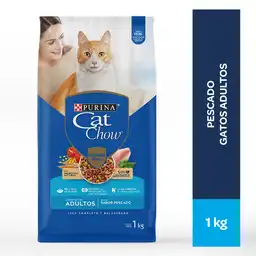 Cat Chow Alim Seco Gatitos 1 Kg