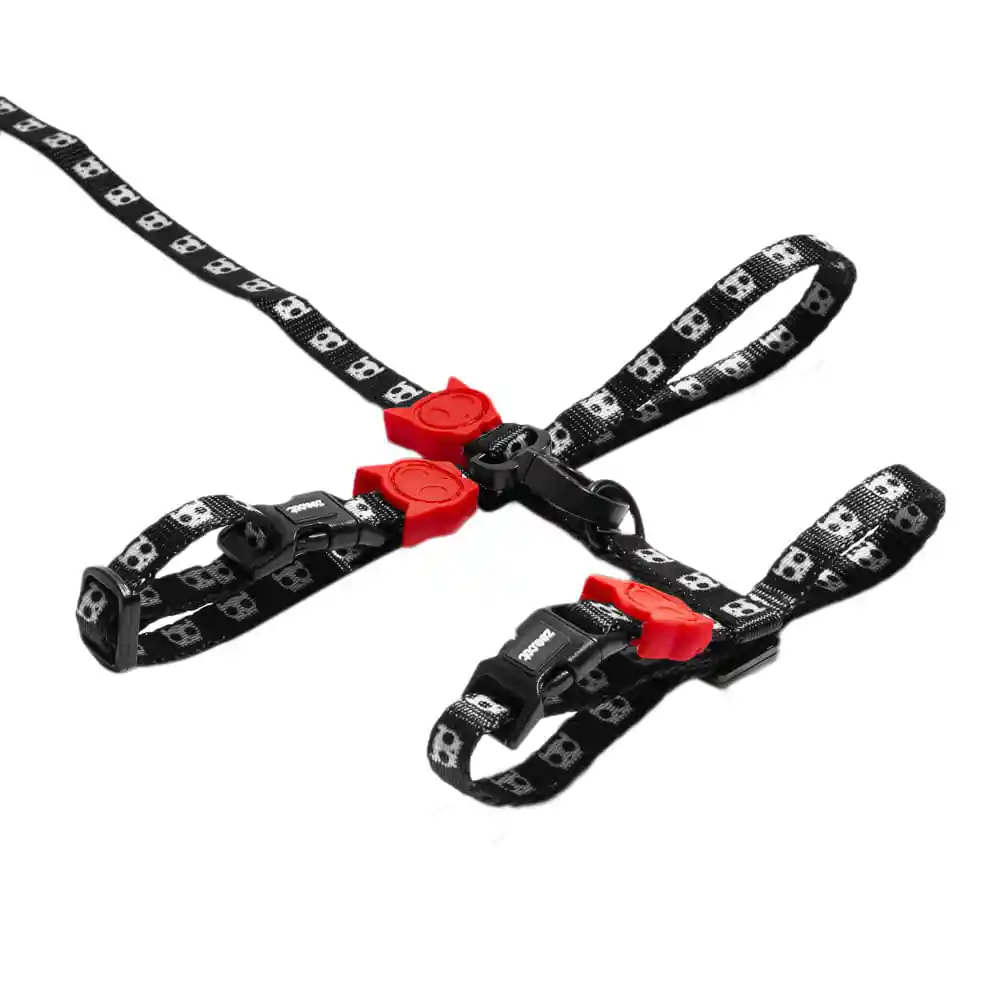 Skull Árnes Leash