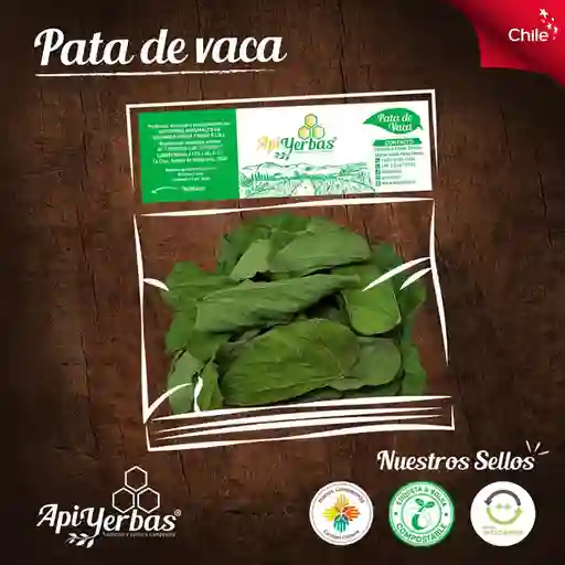 Apiyerbas Pata de Vaca