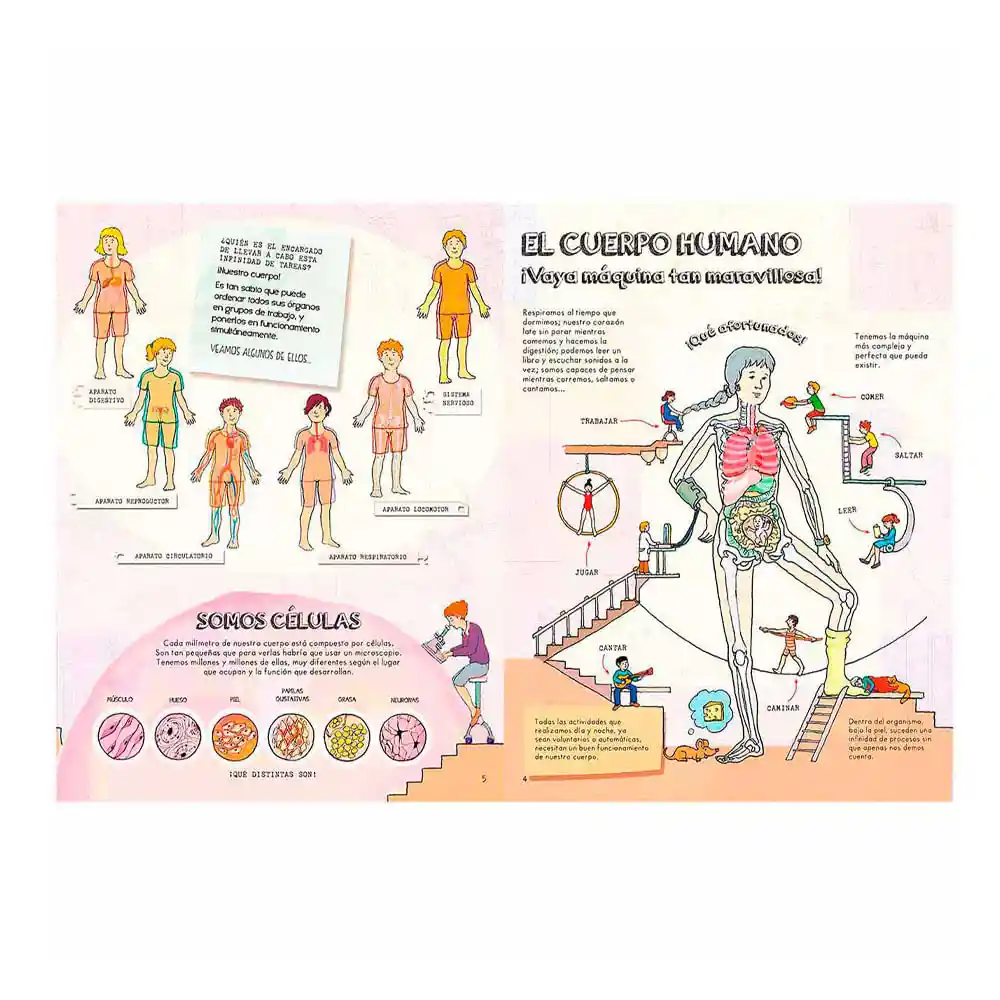 Descubre el Cuerpo Humano