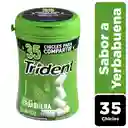 Trident Chicle Sin Azúcar Botella Sabor Yerbabuena