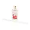 Difusor de Aromas de Vidrio Con Flores Rosas Casaideas