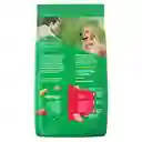 Dog Chow Alimento Perro Adultt Razz Mediana/Grande