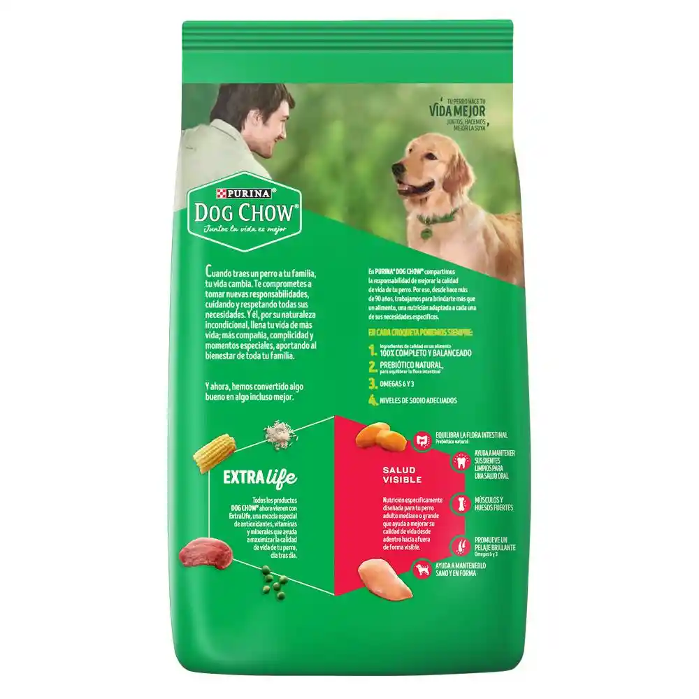 Dog Chow Alimento Perro Adultt Razz Mediana/Grande
