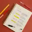 Cuaderno 1/2 Oficio Tapa Verde 18 x 3.5 x 24 cm Casaideas