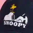 Gorra Color Negro Miniso