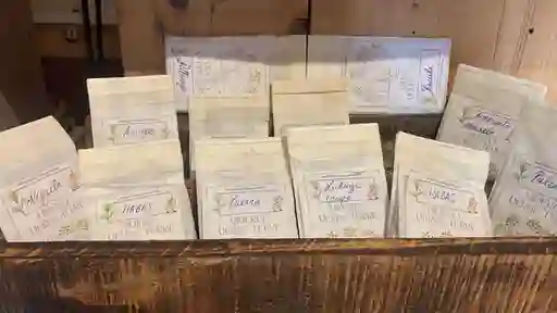 Bosque Nativo Semilla Cultivo Orgánicos Variedad