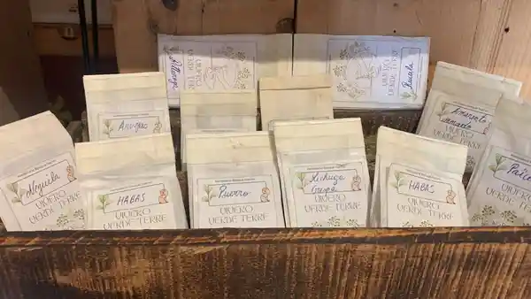 Bosque Nativo Semilla Cultivo Orgánicos Variedad