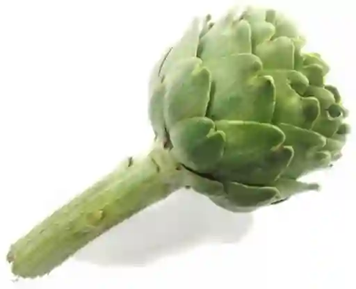 Alcachofa Argentina