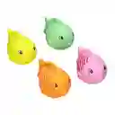 Set Lanza Agua Colores Surtidos Casaideas