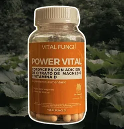 Vital Fungi Suplemento Alimenticio Power Vital