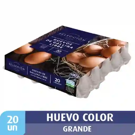 Selección Huevo Gallina Color Grande