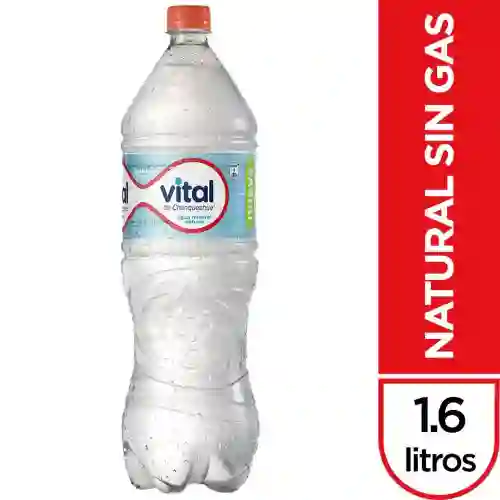 Agua Vital Sin Gas 1.6