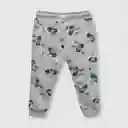 Pantalón Disney 100 de Bebé Gris Melange Talla 9M Colloky