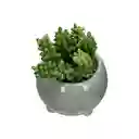 Maceta Redonda Con Cactus Decorativo