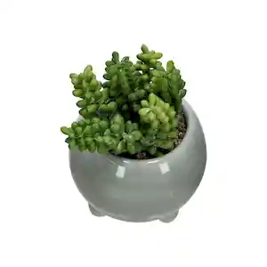 Maceta Redonda Con Cactus Decorativo