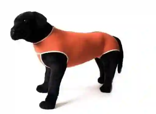 Body de Cobre Post Operatorio Para Perro Tradicional Talla 10