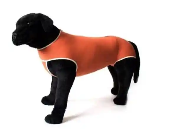 Body de Cobre Post Operatorio Para Perro Tradicional Talla 10