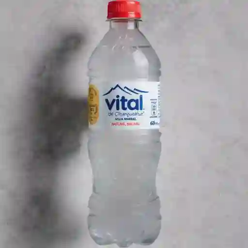 Agua sin gas (600 ml)