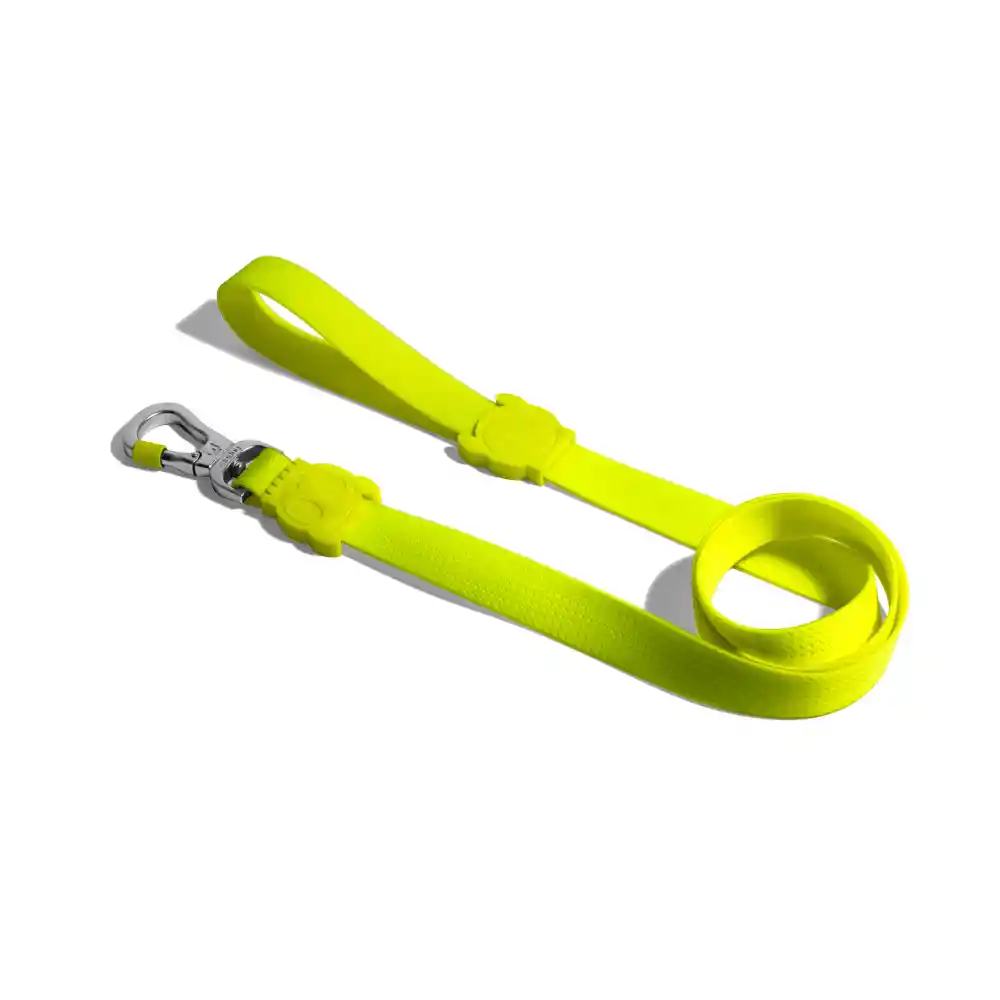 Correa Zee Dog Neopro Green Mediana