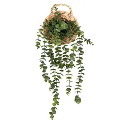 Suculenta Colgante Con Maceta de Fibra Casaideas