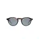 Lentes de Sol Clint Dark Tortoise Inztinto