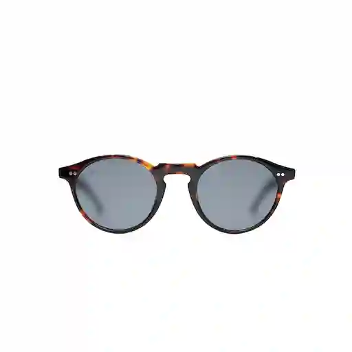 Lentes de Sol Clint Dark Tortoise Inztinto
