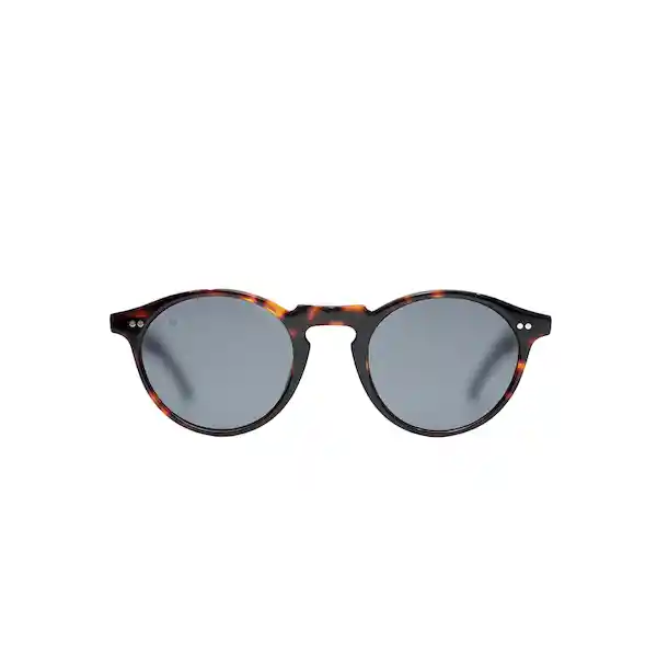 Lentes de Sol Clint Dark Tortoise Inztinto