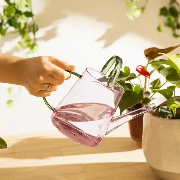 Regadera de Vidrio Borosilicato 1 L Casaideas