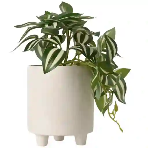 Planta Hojas Mace Blanco 23 cm Ripley Home