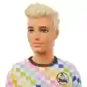 Barbie Muñeco Fashionista Ken Bermuda