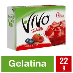 Vivo Gelatina Sabor a Berries