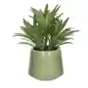 Planta Con Maceta 8 x 17 cm Casaideas