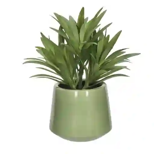 Planta Con Maceta 8 x 17 cm Casaideas